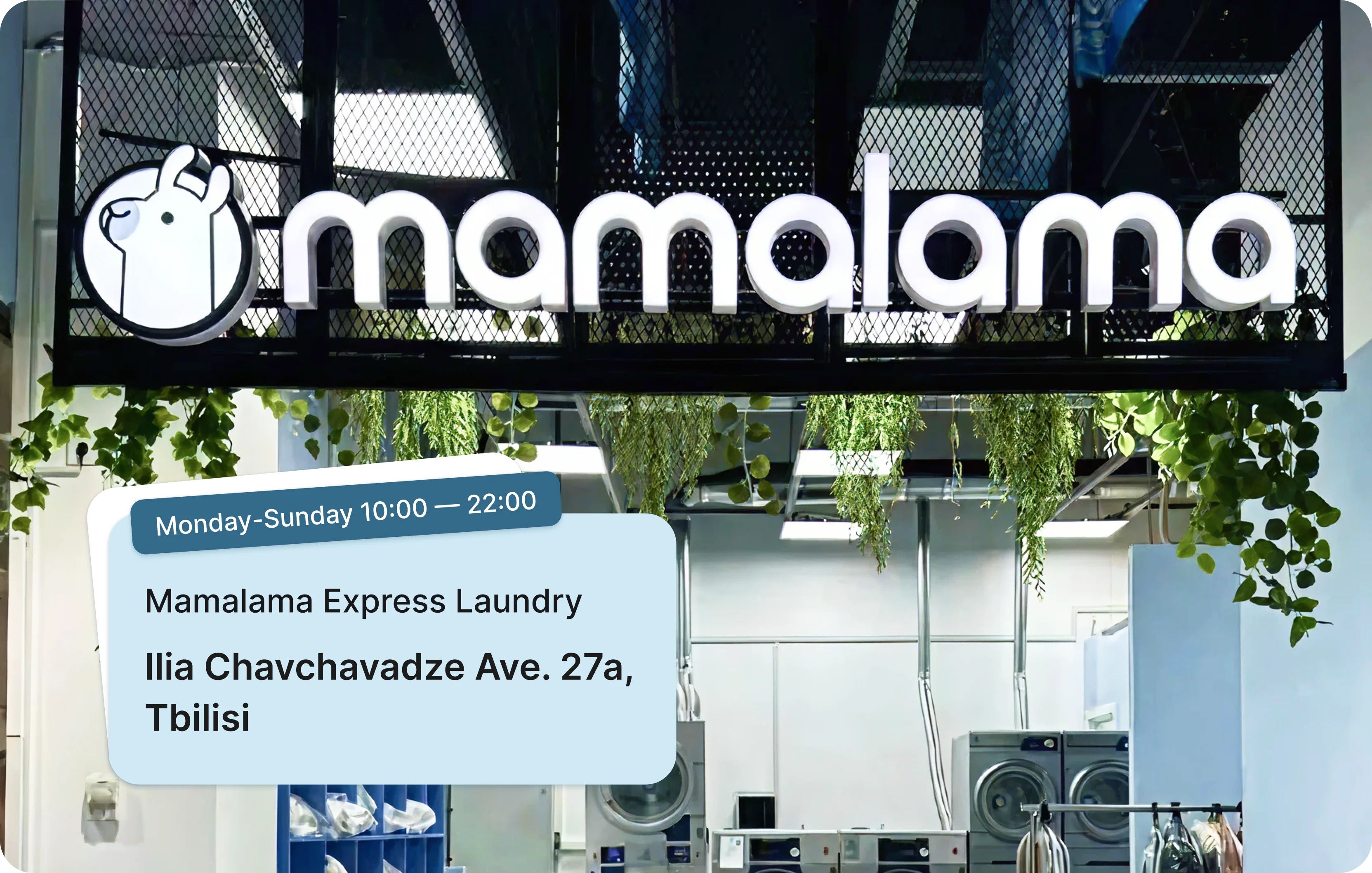 MamaLama 2
